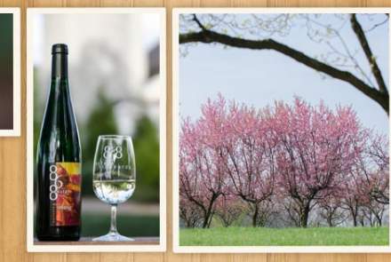 868 Estate Vineyards