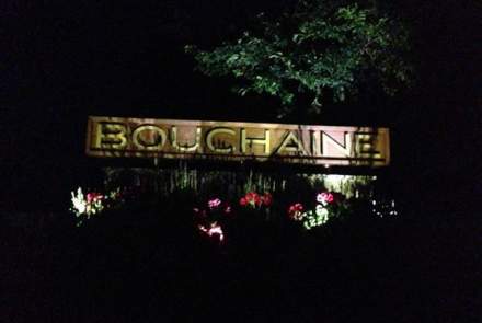 Bouchaine Vineyards