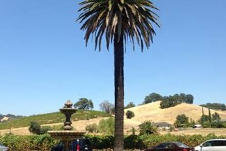 Blue Victorian Winery