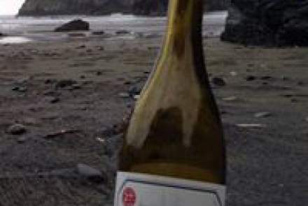 Briceland Vineyards