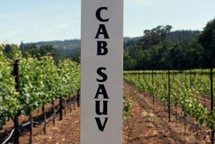 Revana Family Vineyard