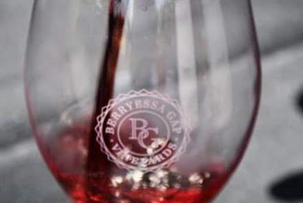 Berryessa Gap Vineyards