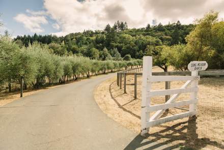 Long Meadow Ranch Winery