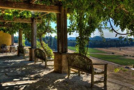 Iris Vineyards Tasting Room