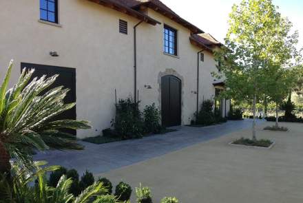 Young Inglewood Vineyards