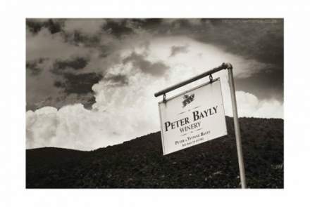 Peter Bayly Wines