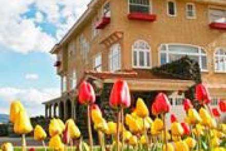 Arbor Crest Wine Cellars