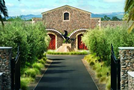 Black Stallion Winery