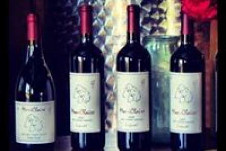 MoniClaire Vineyards
