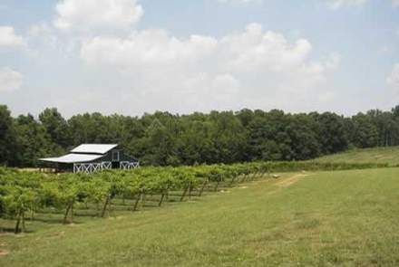 Rocky River Vineyards