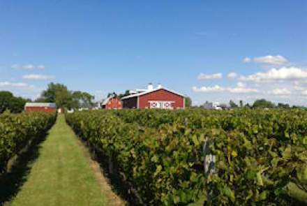 Thousand Island Winery