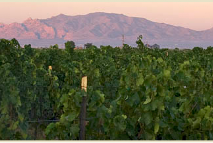 Bitter Creek Winery
