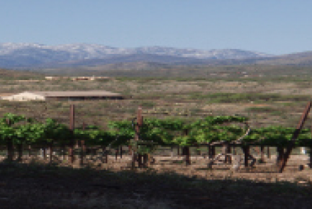 Charron Vineyards and Winery