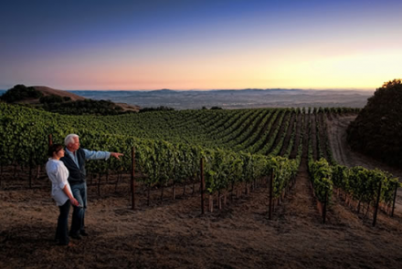Anaba Wines
