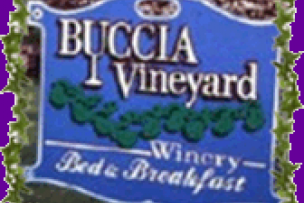 Buccia Vineyards