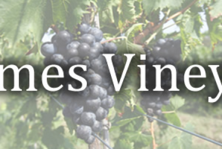 Hermes Vineyards and Winery