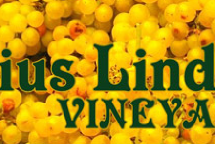 Juniuns Lindsay Vineyards