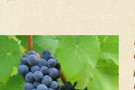 High Pass Winery