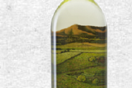 Honig Vineyard and Winery