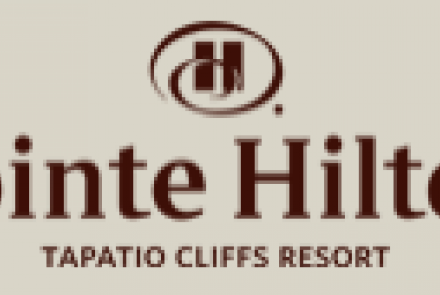 Different Pointe Of View