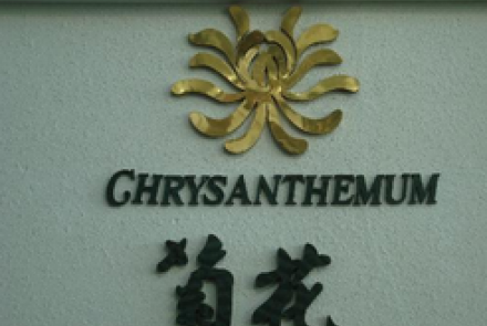 Chrysanthemum