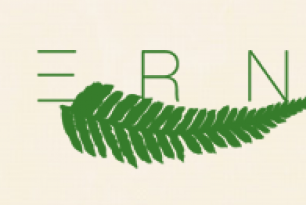 Fern