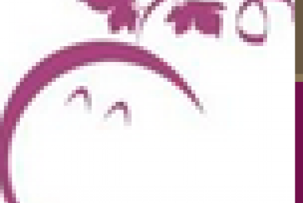 The Curious Grape Wine, Dine & Shop