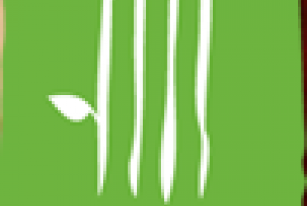 Vivo Seasonal Trattoria