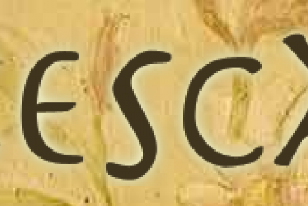 Cesca Enoteca & Trattoria