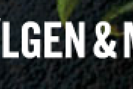 Bolgen & Moi Briskeby 