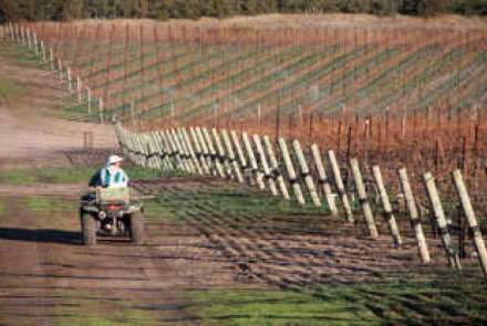 Stephen Ross Wine Cellars