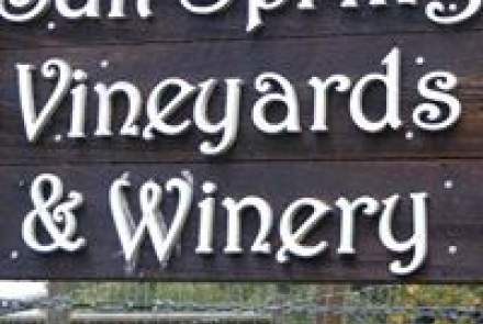 Salt Spring Vineyards 