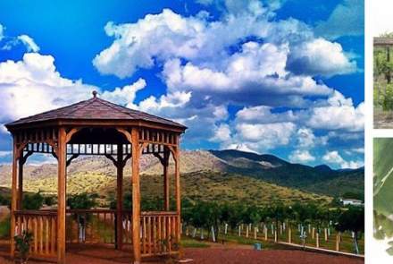 Coronado Vineyards