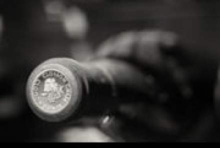 Closson Chase Vineyards