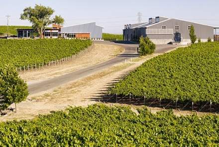 Cuvaison Estate Wines