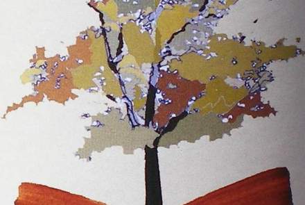 Cassidy Hill Vineyard