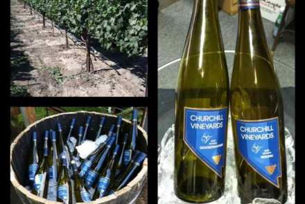 Churchill Vineyards
