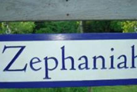 Zephaniah Farm Vineyard