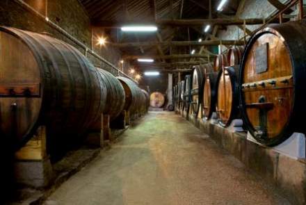 Quinta de la Rosa