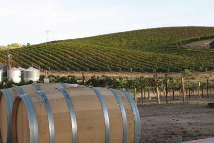 Tackitt Family Vineyards