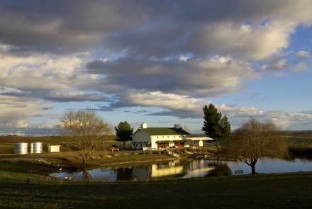 Graveyard Vineyards