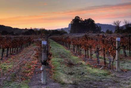 Sextant Wines