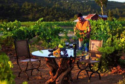 Chiarello Family Vineyards