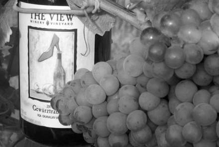 The View Winery and Vineyard