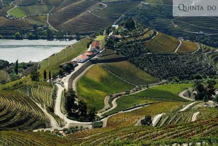Quinta do Crasto