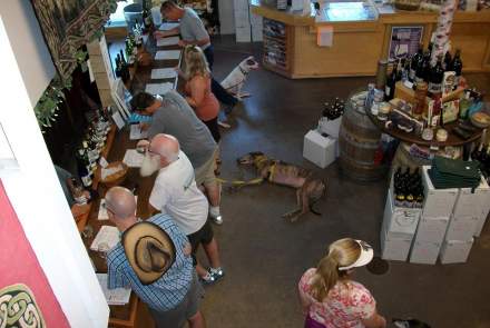 Seneca Shore Wine Cellars