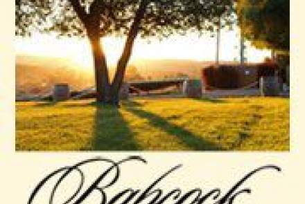 Babcock Vineyards