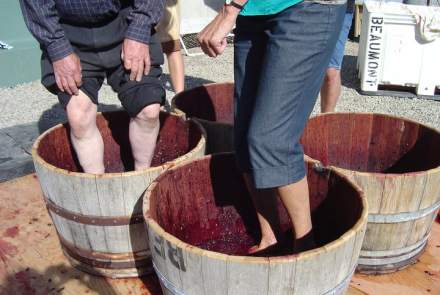 Beaumont Family Estate Winery