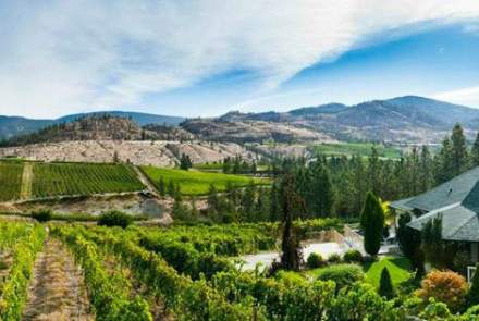 Stag's Hollow Winery and Vineyard