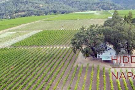 Ballentine Vineyards